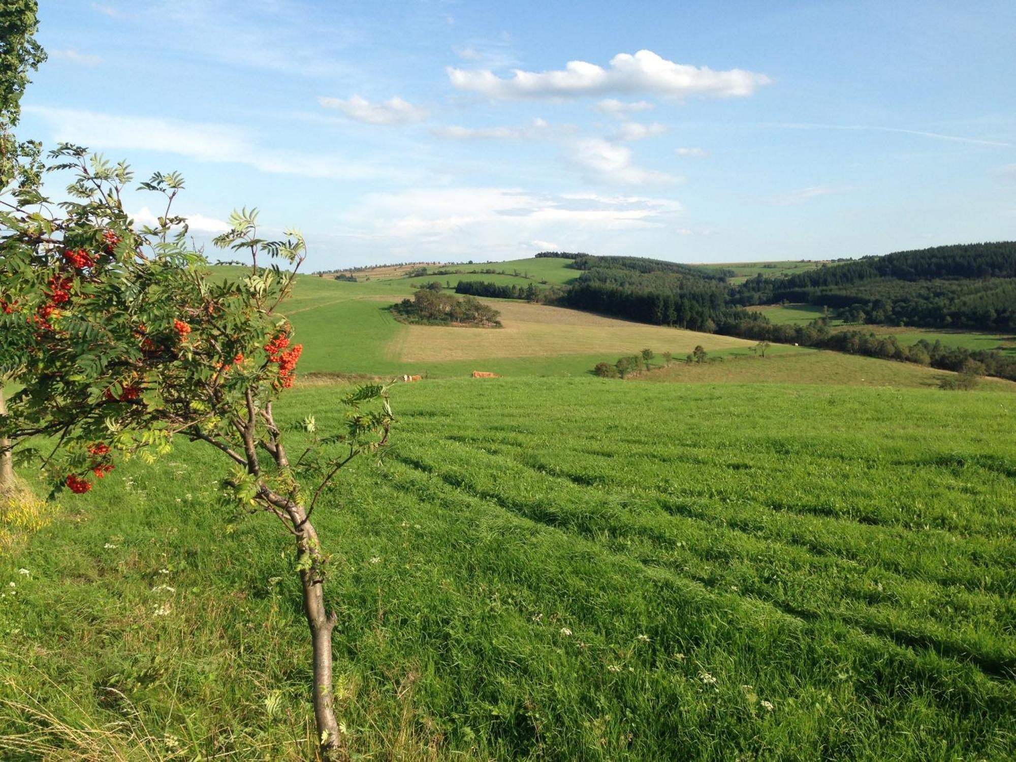 Ferienhaus Bikehuette Rehnhaeusl Geising Bagian luar foto
