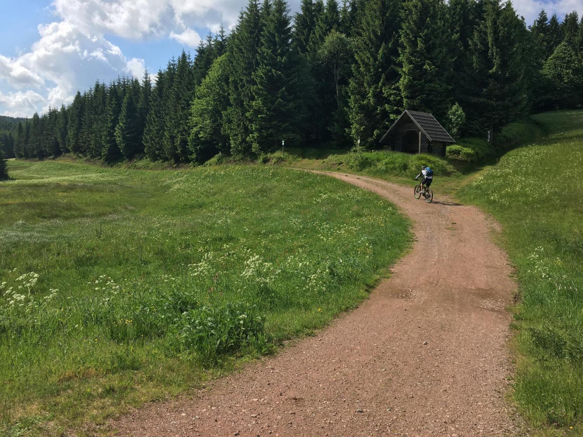 Ferienhaus Bikehuette Rehnhaeusl Geising Ruang foto
